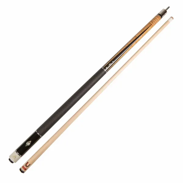 WS120 Prism